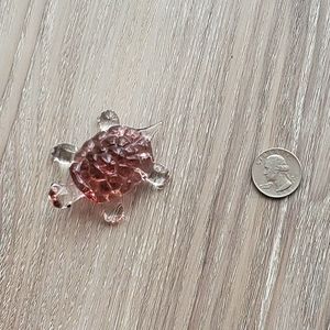 Glass Turtle